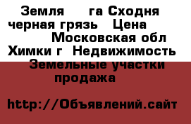 Земля 2,3 га Сходня, черная грязь › Цена ­ 40 000 000 - Московская обл., Химки г. Недвижимость » Земельные участки продажа   